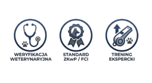 _Vet_Verified__ZKwP_Standard__Expert_Training-removebg-preview